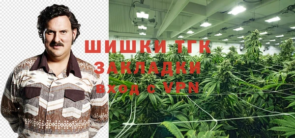 2c-b Гусев