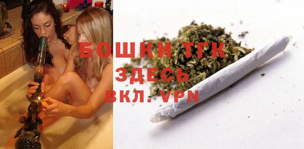 2c-b Гусев