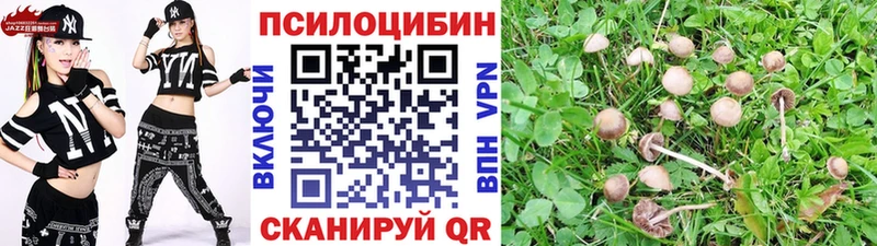 Псилоцибиновые грибы ЛСД  Купить закладки  Кингисепп 